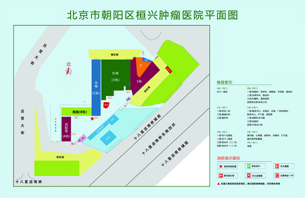 大鸡吧插进小逼视频北京市朝阳区桓兴肿瘤医院平面图